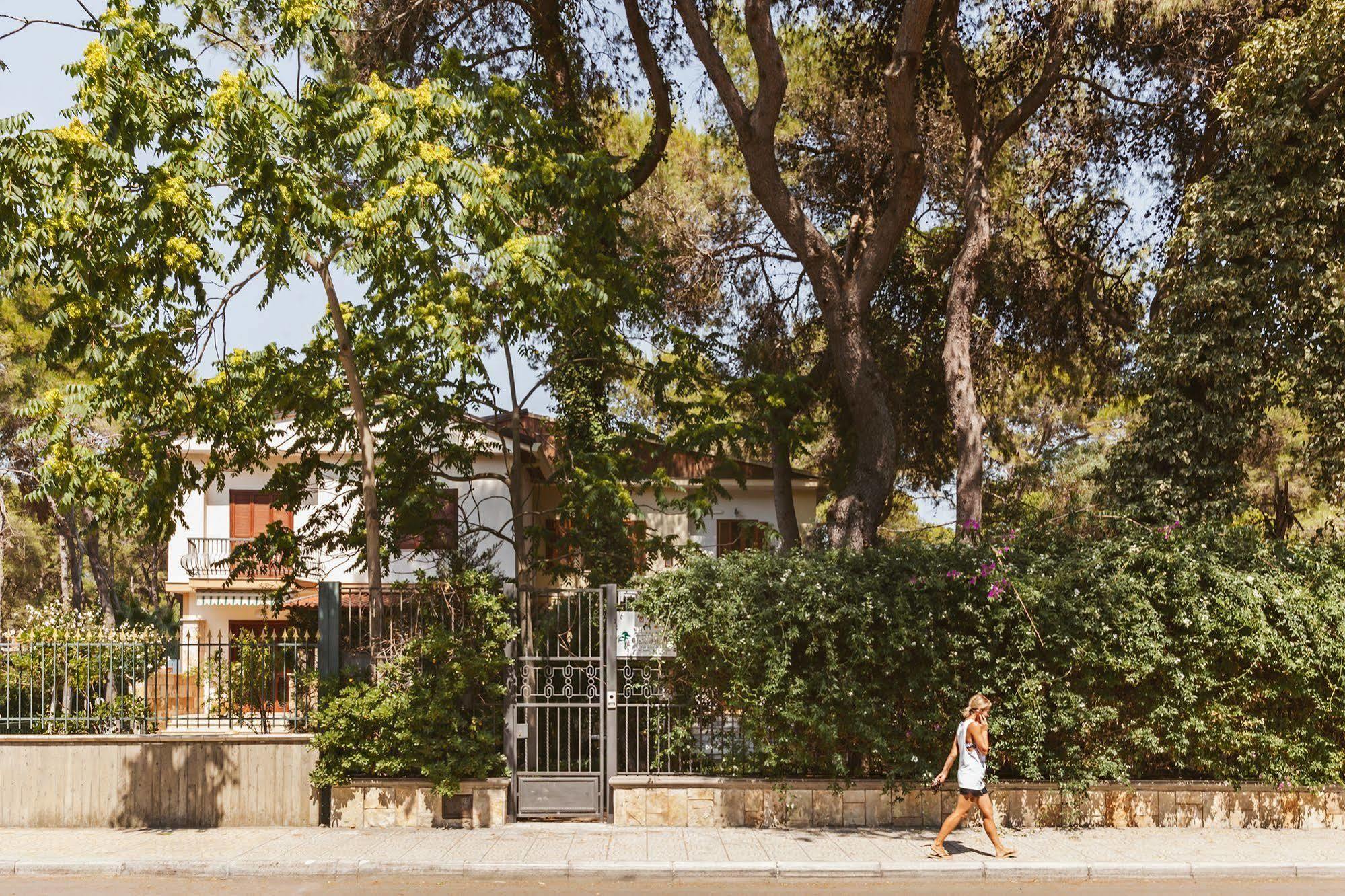 B&B Viale Dei Pini 卡斯特拉巴特滨海 外观 照片