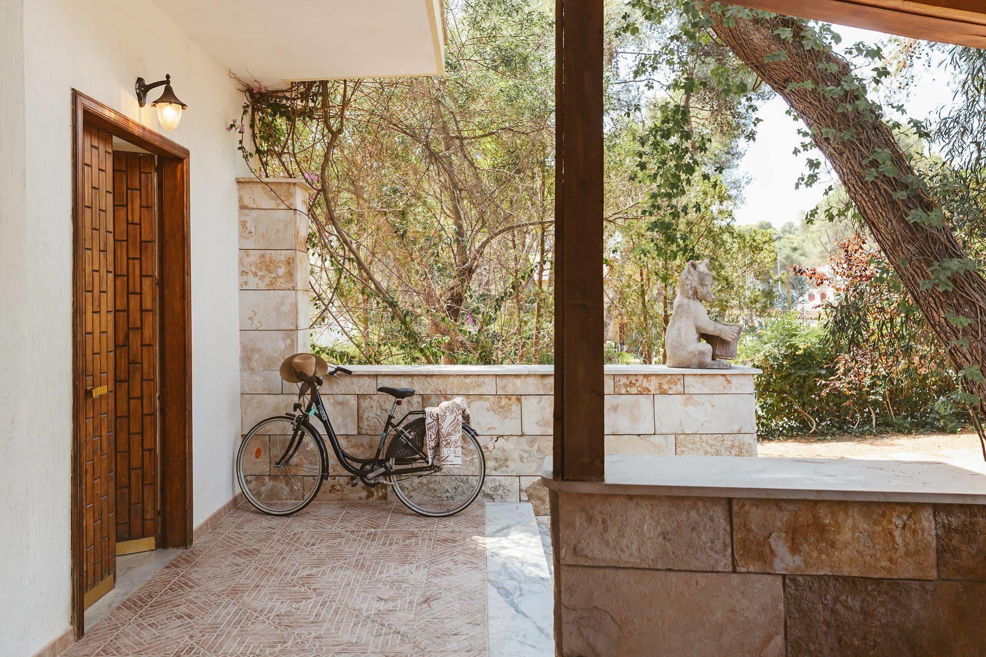 B&B Viale Dei Pini 卡斯特拉巴特滨海 外观 照片